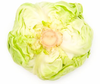 heads of cabbage on a white background.