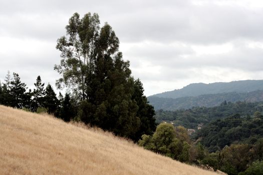 dry foothills with greener hills in the distance