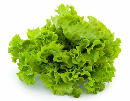 Lettuce. Green salad on a white background.