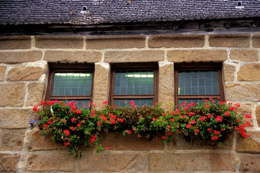 A window box in the Mt. St. Michel.