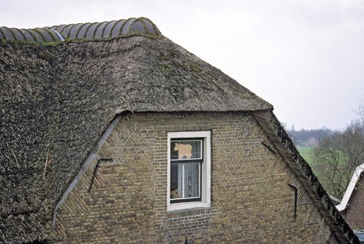 Close up of a thatched roof on a home in the Netherlands