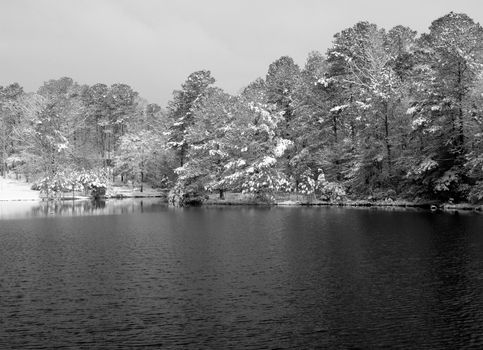 Winter pond after a new snow storm