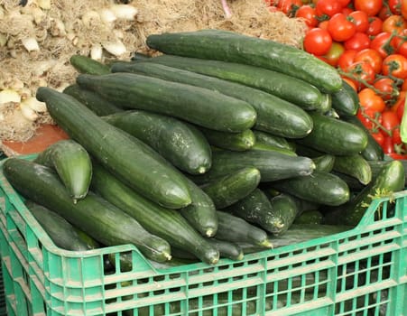 Cucumbers on display in a Spanish open-air market.