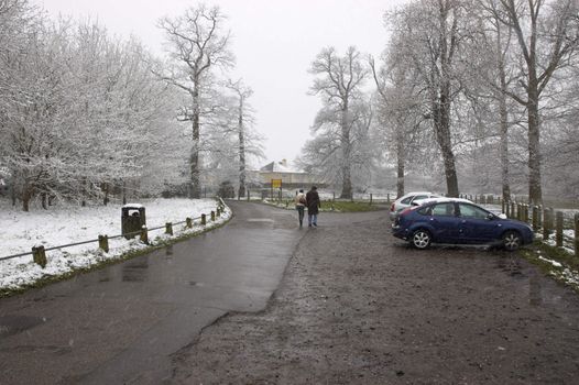 A couple walking in a park in winter