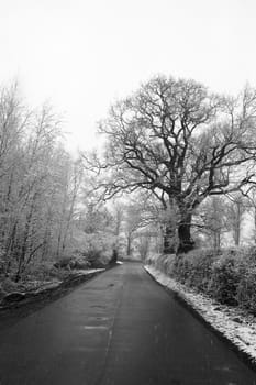 Black and white photo of a country lane in winter