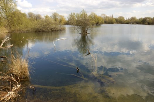 A view of a lake in spring