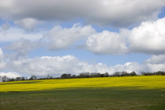 A view of farm land in Kent