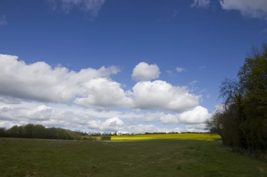 A view of farm land in Kent