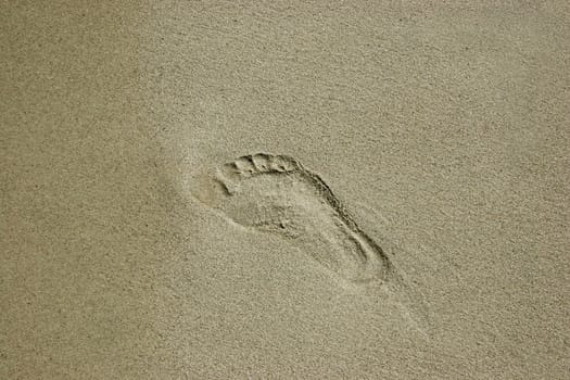 single footprint left in the sand on a beautiful beach