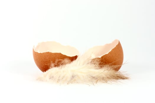 Broken egg shell with feather on white background