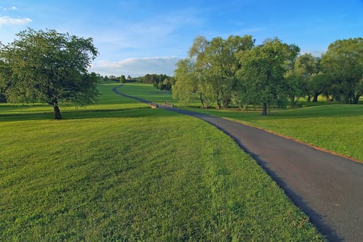 Photo of rural landscape. Summer morning.