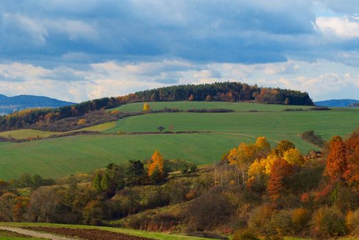 Rural landscape. Autumn morning