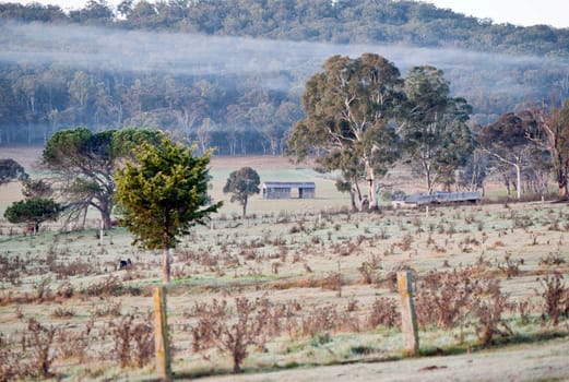 great image of the farm at early morning