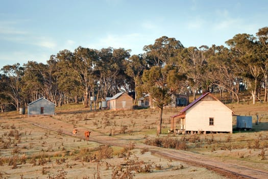 great image of the farm at early morning