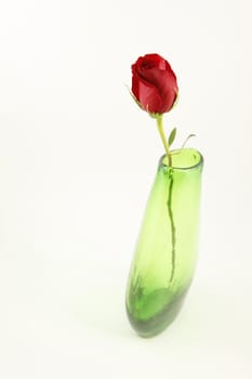 A single stemmed red rose in a green vase with a white background
