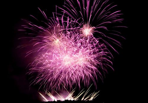 Fireworks Lighting up the Black Night Sky