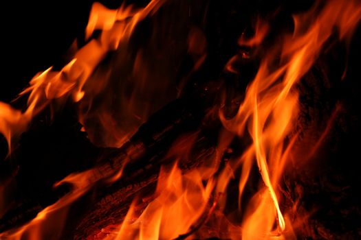 Flames of a campfire