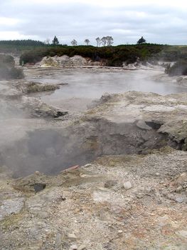 Boiling Sulphur Pools - Hells Gate Thermal Reserve, New Zealand