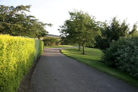 road in countryside