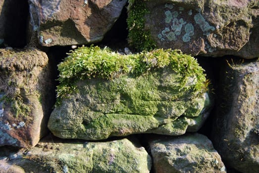 detail of an old stone wall with moss growing on the stones