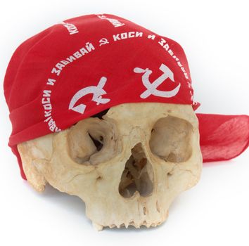 Wery old russian  rocker (only skull) dressed bandanna with soviet symbols
