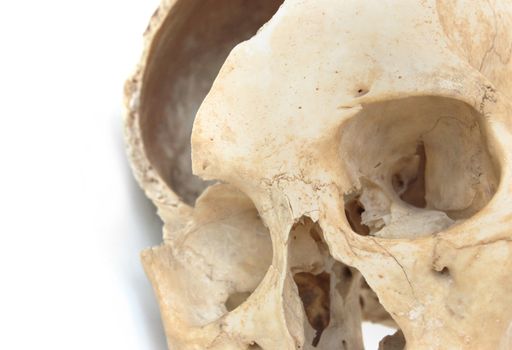 Old broken skull against white background