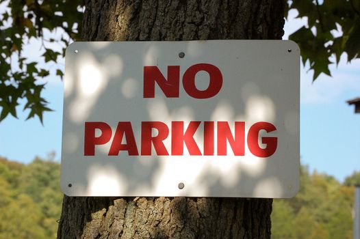 No Parking Sign Nailed Onto A Tree