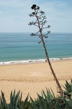 Solitary beach in Ca�os de Meca, Cadiz, Spain.