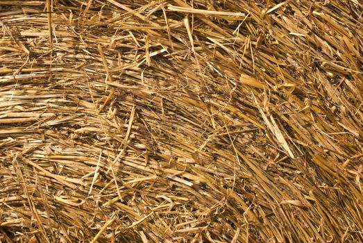 closeup on straw pressed together in a bale