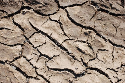 closeup of a dry and cracked patch of earth