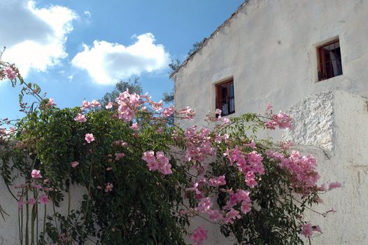 Village house with flowering plants