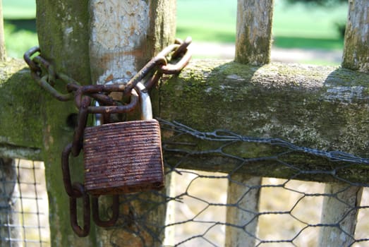 old rusty lock on a wooden gate