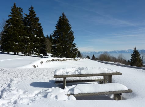 Table and benches in the mountain with fir trees by winter