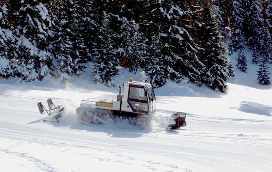 Piste basher in the winter mountain with fir trees behind