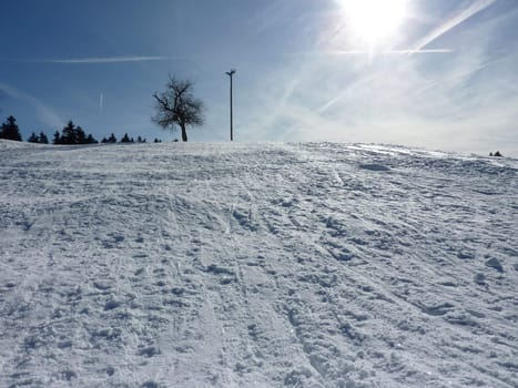 Snowy hill with trees in the mountain into the light