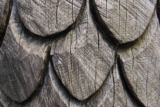 closeup of a wooden sculpture of a fir cone