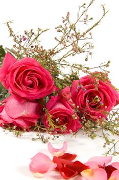 Bunch of pink roses isolated on white