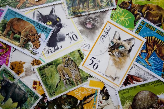 A collection of animal stamps from different countries, such as Poland, Equatorial Guinea, Cambodia, Bangladesh and others