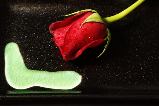 A single stemmed red rose with a decorative backround
