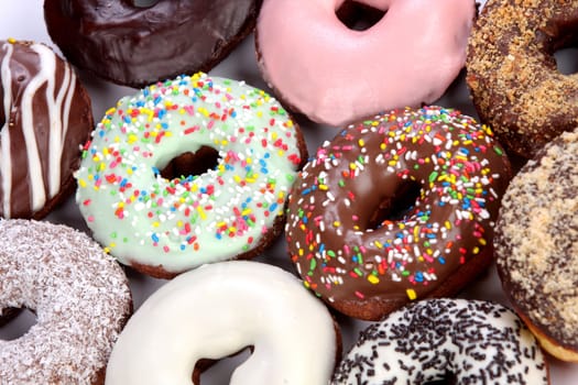 details of separate donuts in close up