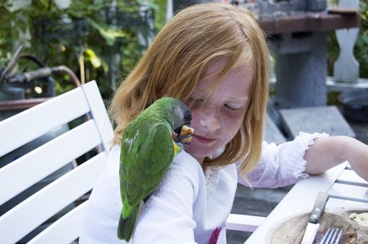 green parrot is eating a piece of bread on shoulder of girl