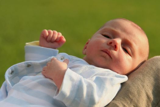 Newborn baby portrait