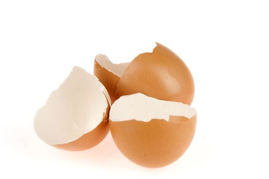 eggshell on a white background