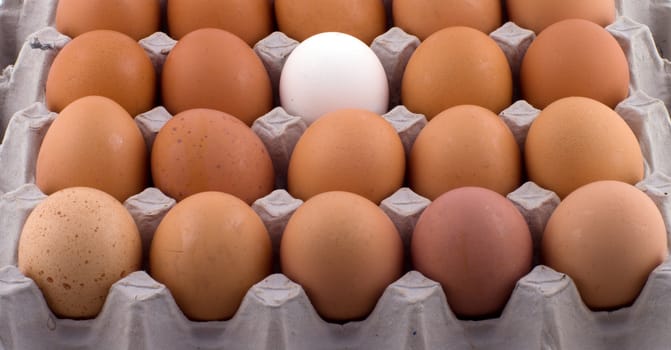 White and brown eggs in packing a close up.