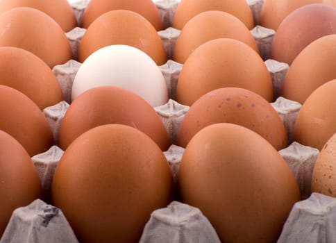 White and brown eggs in cardboard packing a close up.