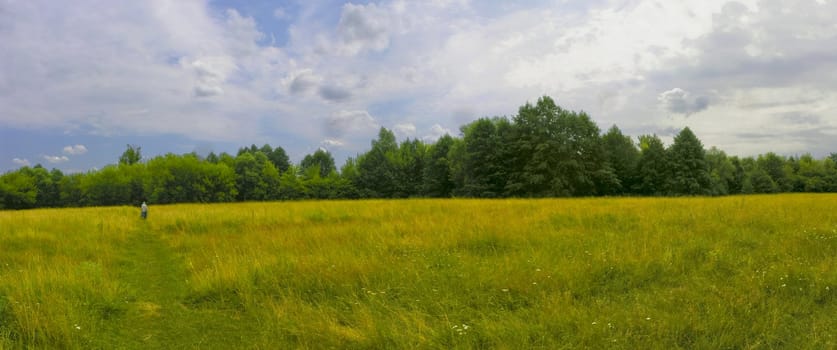 Green and yellow grass under blue sky with white clouds