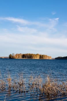 lake with yellow trees, blue sky and lifeless branches in water  
