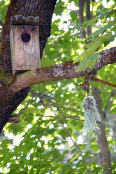 A house for the birds to nest every spring and summer.