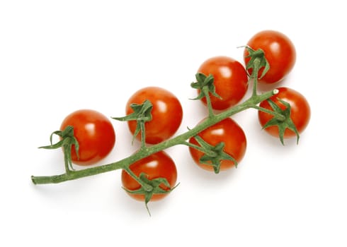Fresh tomatoes with stem isolated on white background - shot in studio