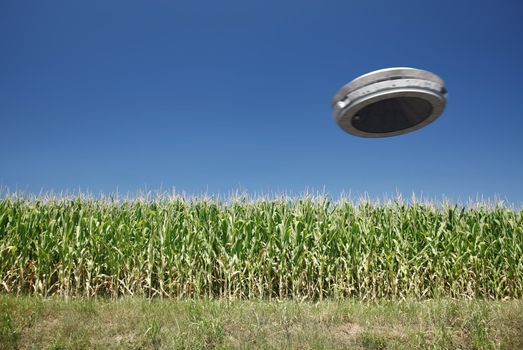 Unidentified flying object in the sky over a rural corn field